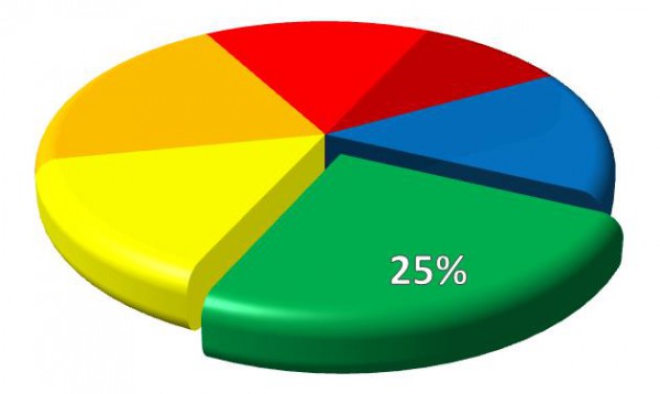 Excel-Diagramme: Kreise und Ringe mal anders