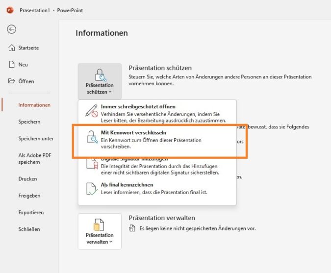 Screenshot 3 - PowerPoint Passwort