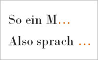 auslassungszeichen2