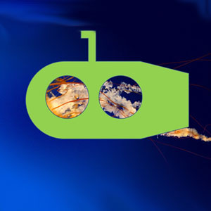 PowerPoint - Bullauge