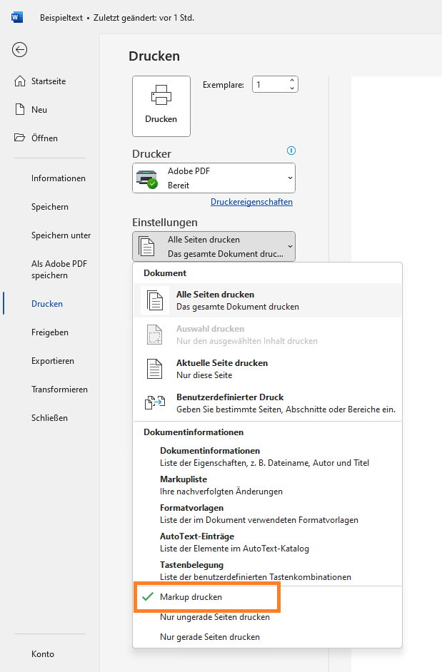 Screenshot 8 - Word Kommentare
