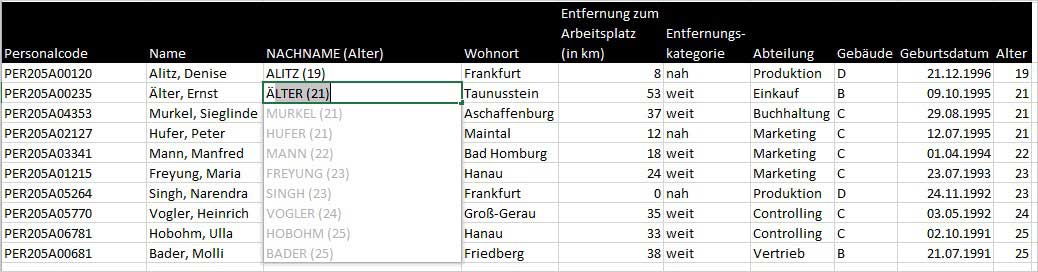 Excel - Blitzvorschau