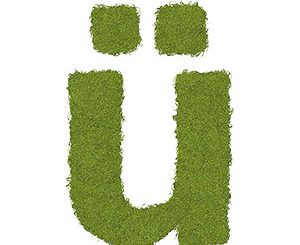 Umlaute in Excel auswechseln