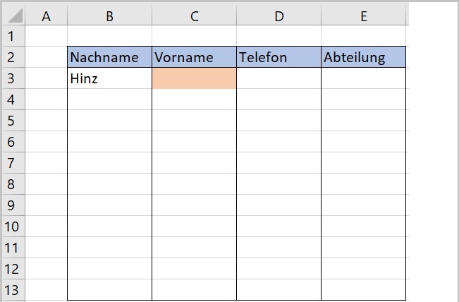 Excel - Pflichteingaben hervorheben