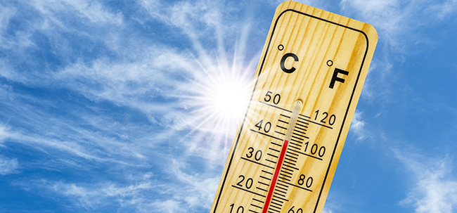 40 Grad und mehr. Foto: