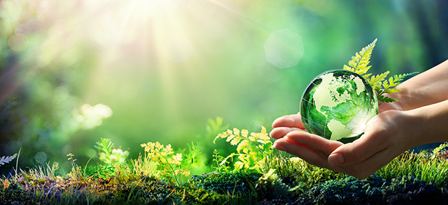 Umweltschutz tut Not. Foto: Romolo Tavani / Adobe Stock
