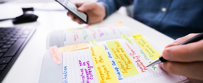650 OneNote: Inhalte Organisieren