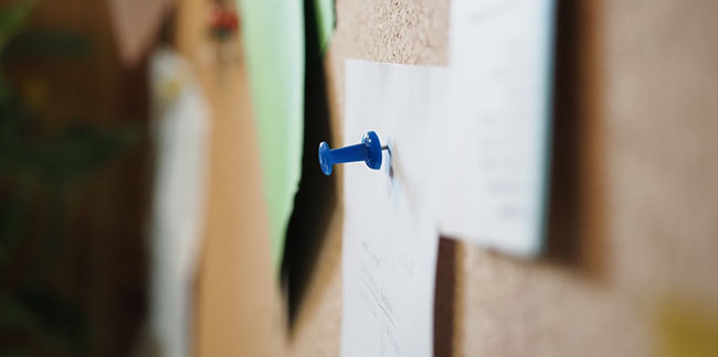 Foto: Eifelkraken/stock.adobe.com