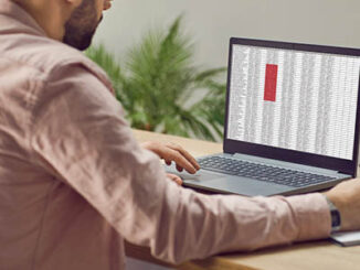 Foto: Studio Romantic/ stock.adobe.com